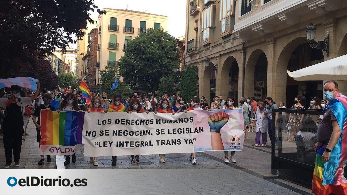 La manifestación del Orgullo recorre Logroño reivindicando la Ley ...