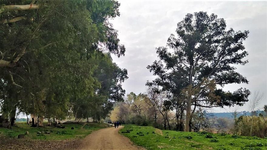 El riesgo de un "pelotazo" urbanístico en Tablada resucita 25 años después alentado por el nuevo alcalde de Sevilla