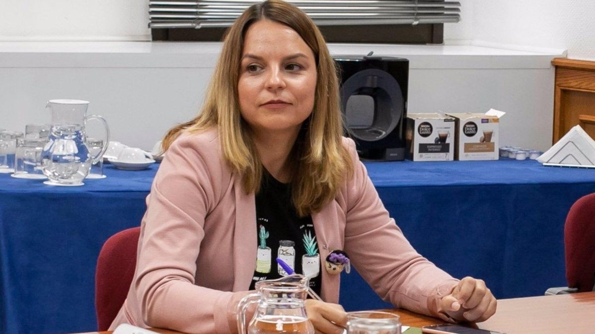 La consejera de Derechos Sociales del Gobierno de Canarias, Noemí Santana