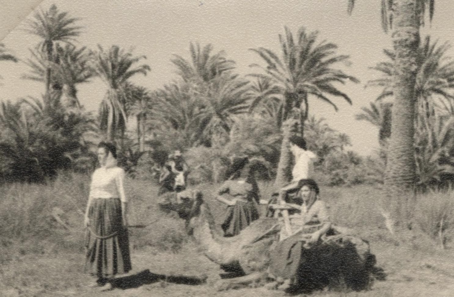 Mujeres ataviadas con el traje nestoriano en el palmeral de Maspalomas paseando en camello.