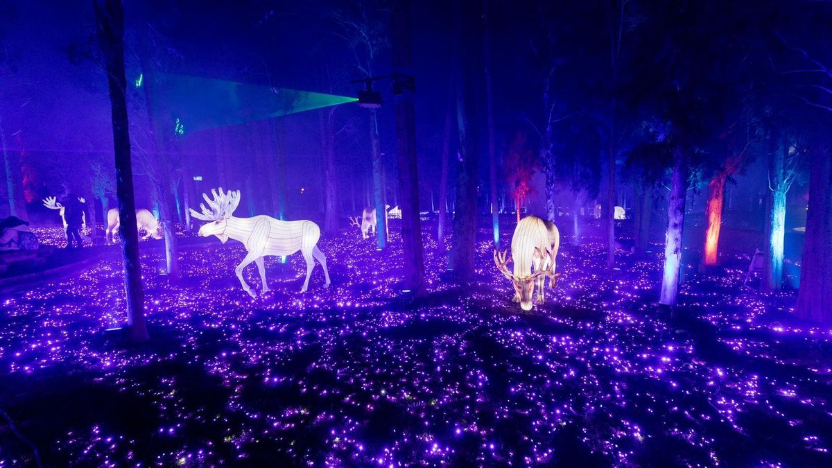 El PP de Zaragoza niega a los vecinos el uso de suelo público mientras lo cede a una empresa privada en el Parque Grande