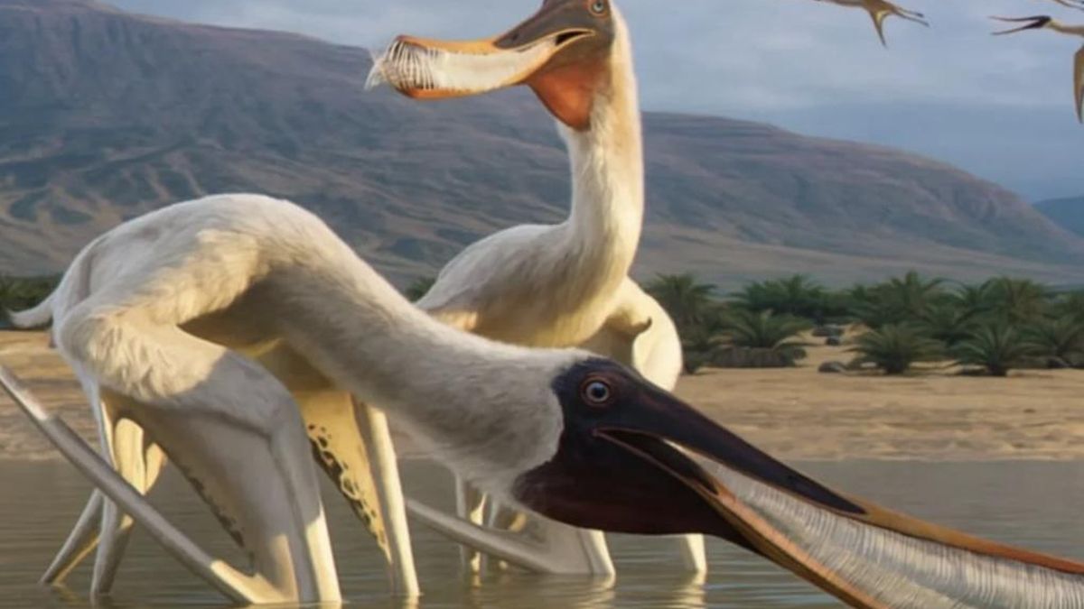 Un vómito endurecido con peces alineados y huesos fracturados ha permitido reconstruir el ataque de un espinosáurido y la presencia de un pterosaurio que faltaba en el mapa