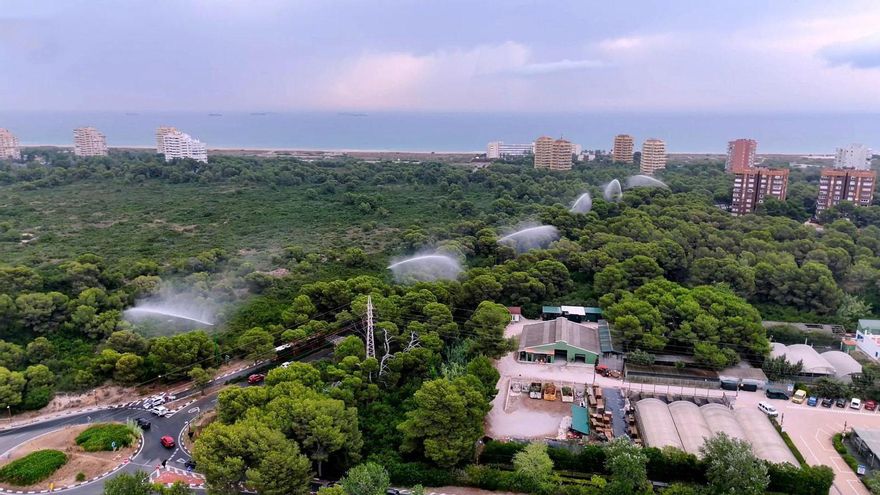 València licitó el mantenimiento de los cañones de agua de El Saler el día del incendio al carecer “de medios"