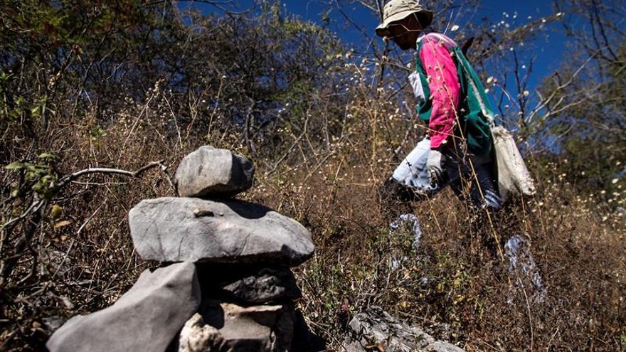 México despliega la mayor brigada de búsqueda de desaparecidos de su historia