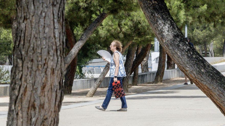 Gran Canaria estará este martes en riesgo amarillo por altas temperaturas y La Gomera por fuerte viento