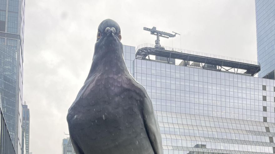 Nueva York dedica un festival a sus palomas y reivindica mayor protección para las aves