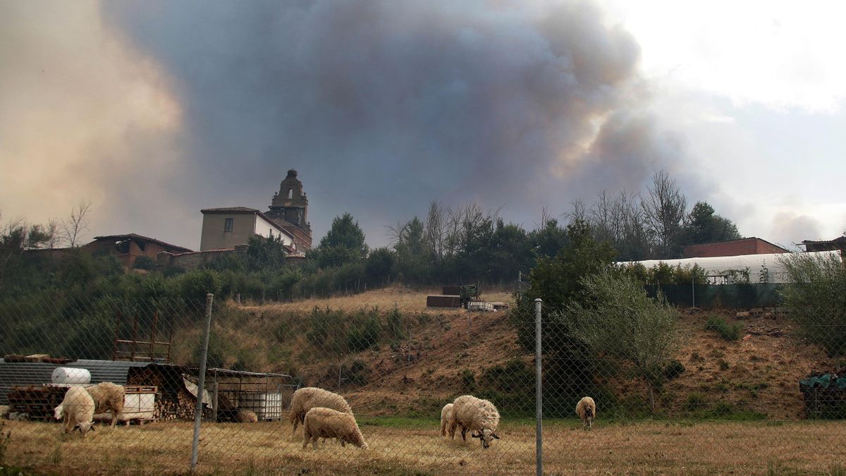 León aún padece seis incendios del peor nivel de peligrosidad, algunos que cumplen 12 días ardiendo