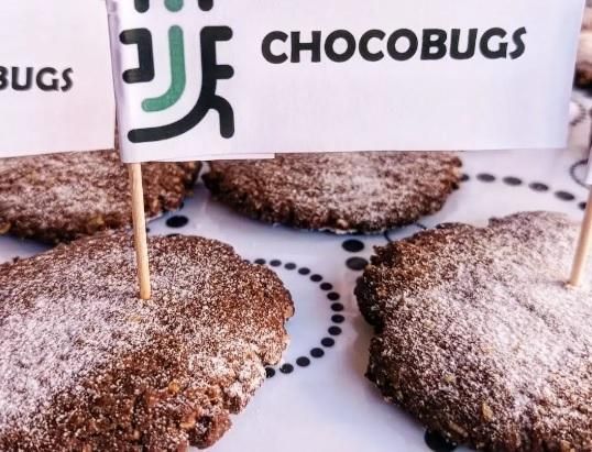 Galletas realizadas con harina de Tenebrio Molitor por la empresa Just Bugs