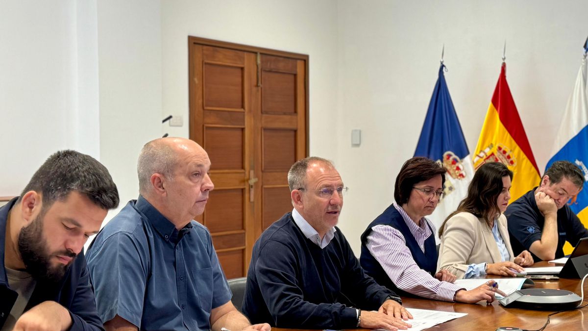 Reunión del Plan de Emergencias Insular  de La Palma (Peinpal).