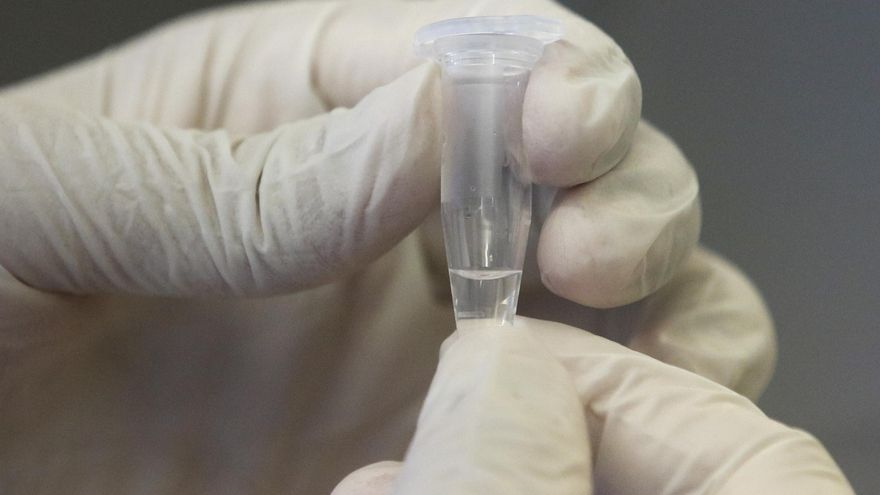 El suero equino, la nueva esperanza argentina contra el coronavirus