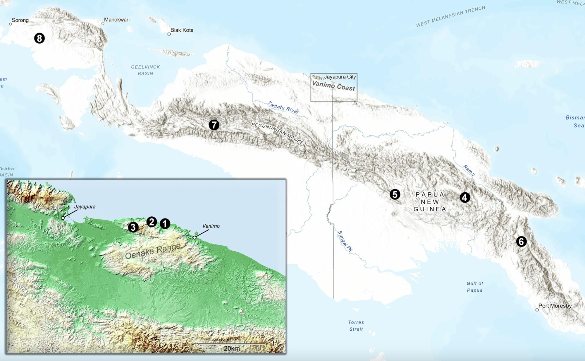 1) Lachitu 2) Taora 3) Watinglo 4) Nombe y Kafiayawa 5) Pantano Pureni 6) Formación Otibanda 7) Cueva Kelangurr y río Baliem Occidental 8) Cuevas Kria y Toé. Mapas generados por LGK usando ArcGIS Online