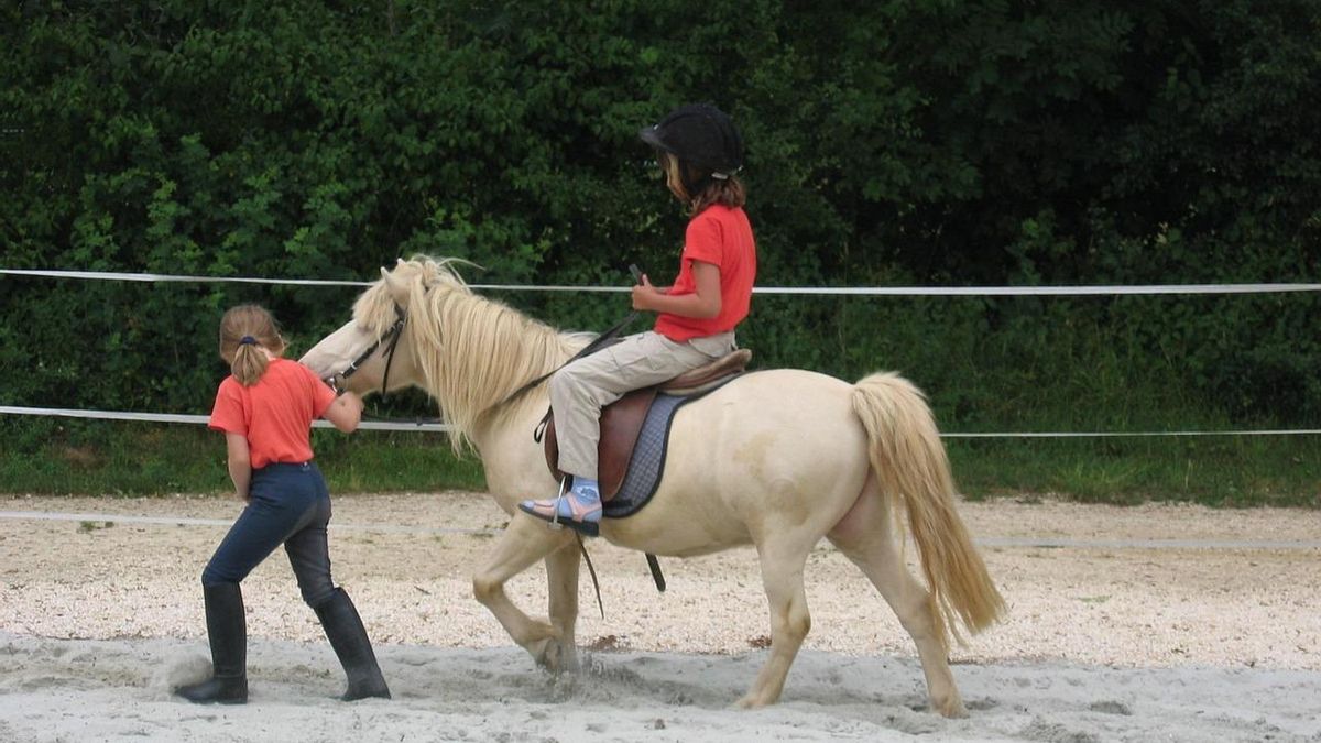 Acercar a los niños al mundo del caballo, una opción para este verano