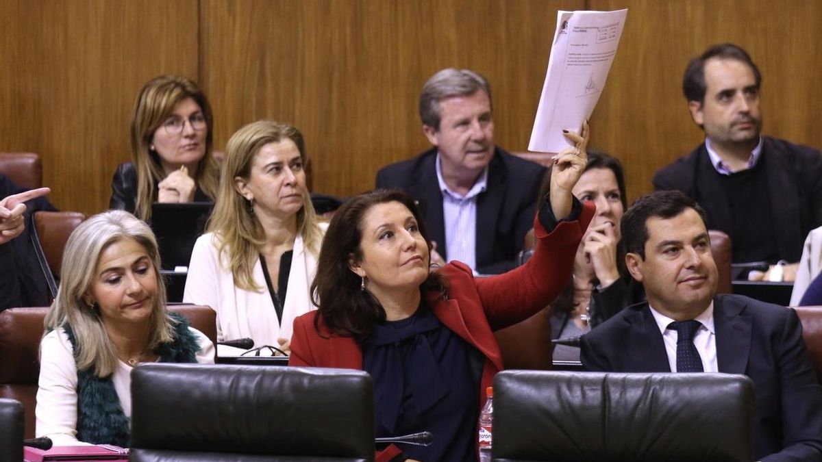 El BOE publica la sentencia del TC que reconoce el derecho de Del Pozo (PP-A) a formar parte de la Mesa del Parlamento