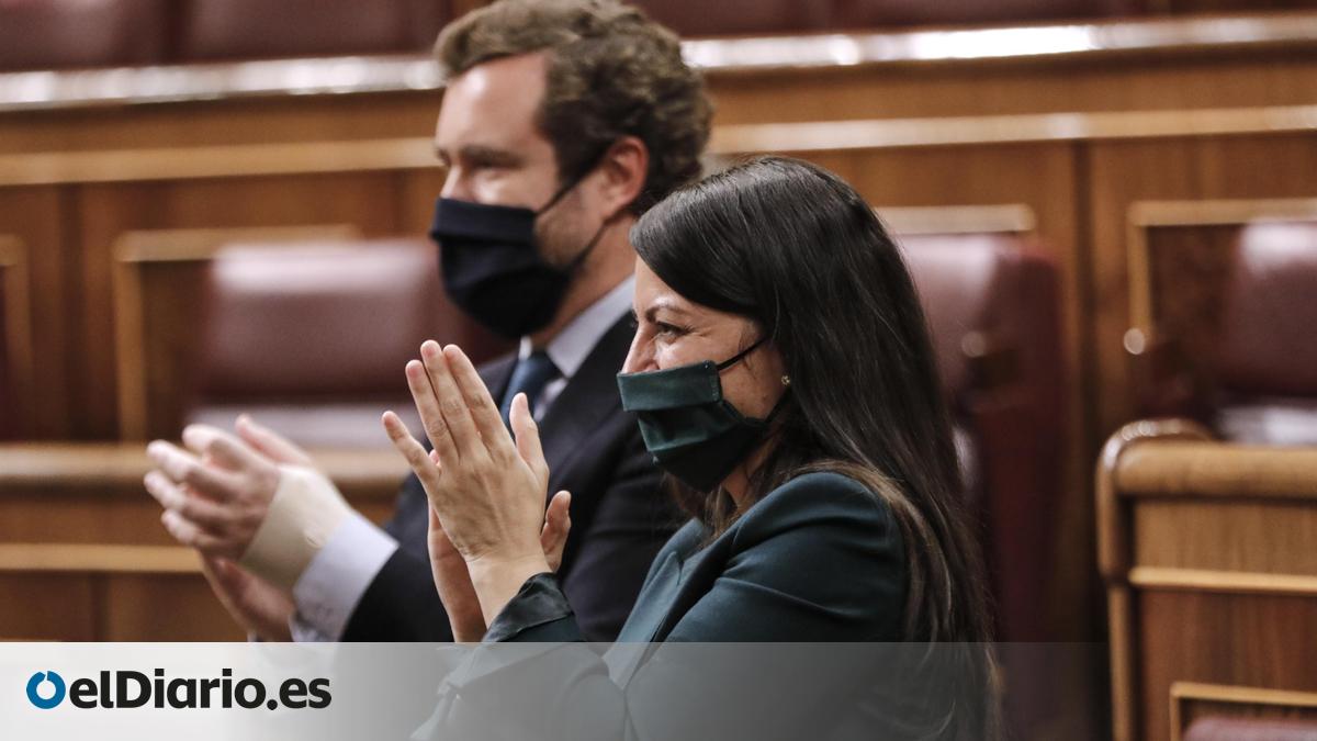 Vox arremete contra el PP por llamarle "extrema derecha" y se erige ...