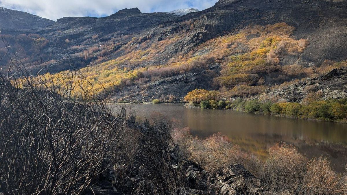 El Lago de la Baña, tres meses después de ser arrasado por el fuego