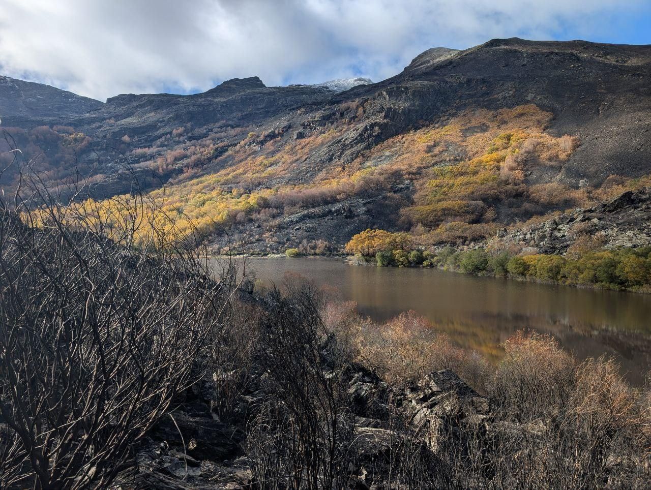 El Lago de la Baña tres meses después de ser arrasado por el fuego
