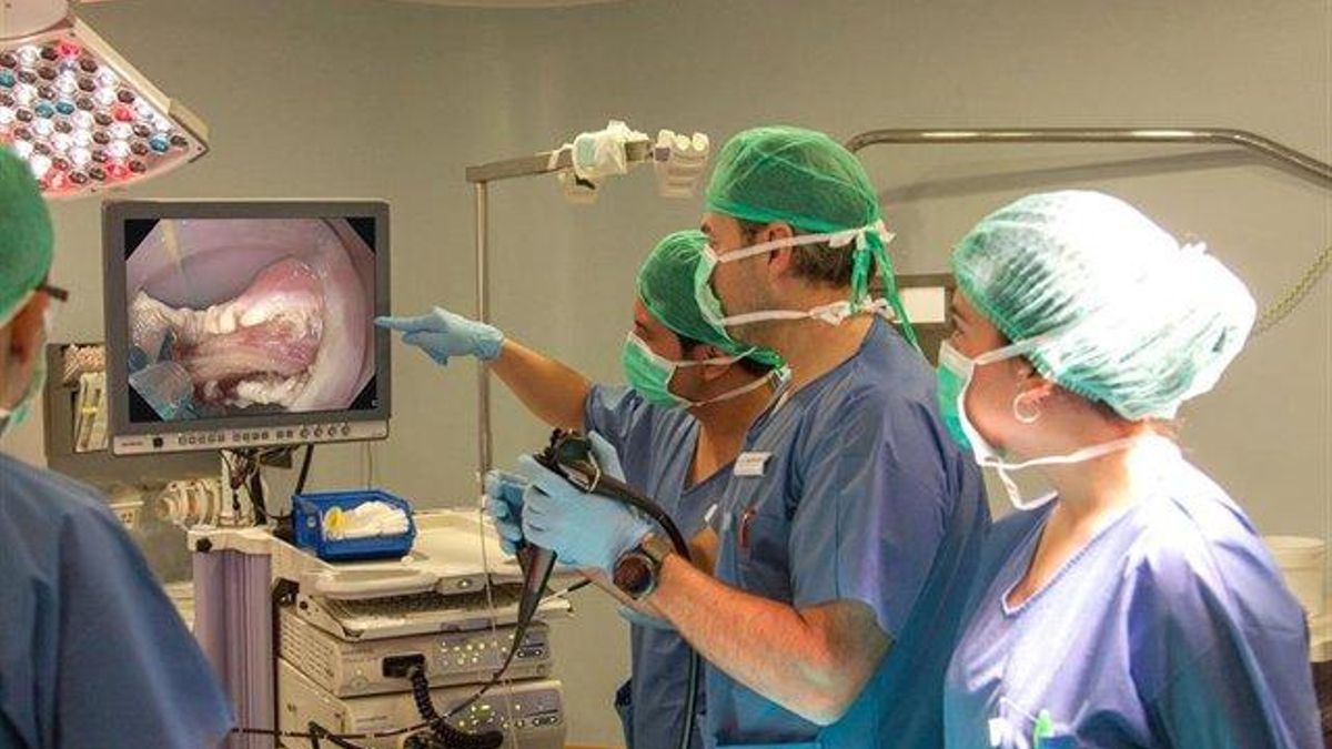 Castilla y León saca 538 contratos para fidelizar a sus MIR, con 45 plazas para médicos de familia en zonas rurales
