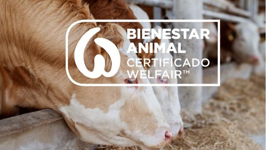 Certificado Welfair de bienestar animal