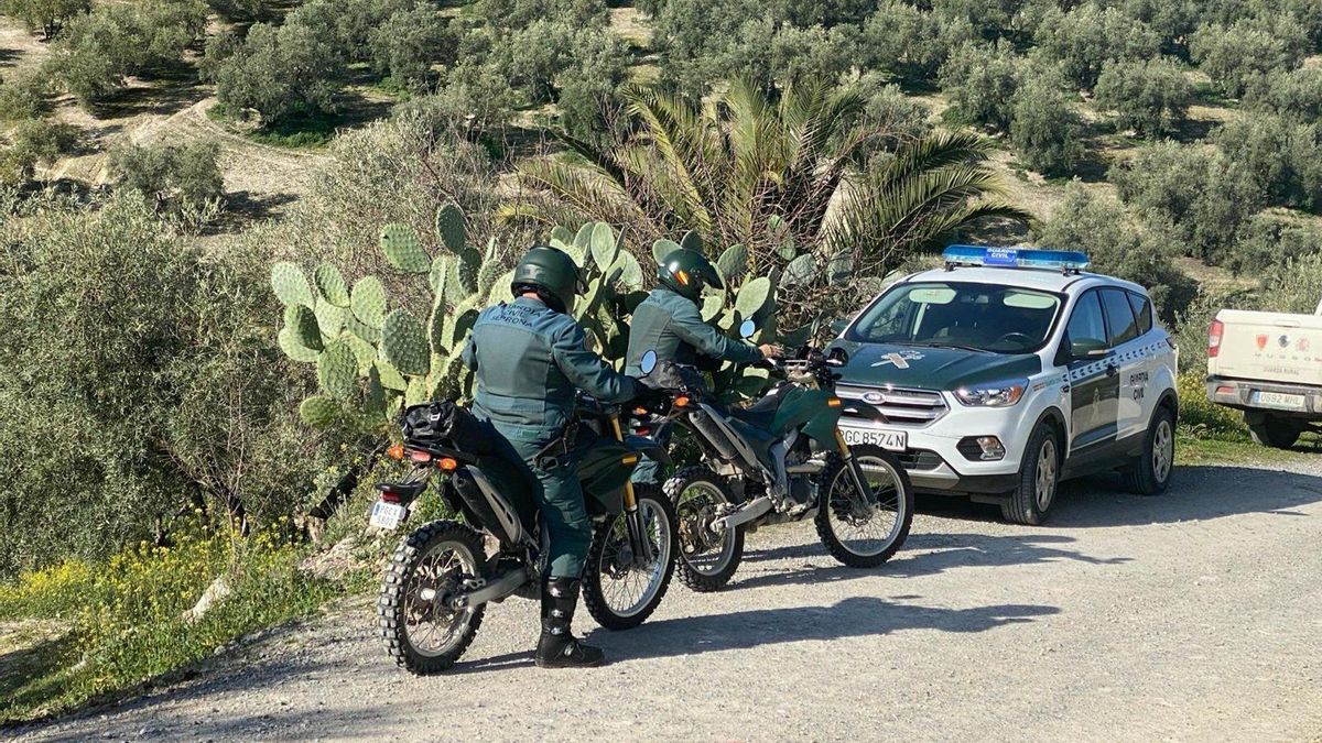 Evacuado al hospital tras recibir un disparo mientras cazaba en la provincia de Córdoba