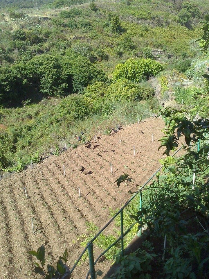 Tierra labrada. ÓSCAR LORENZO
