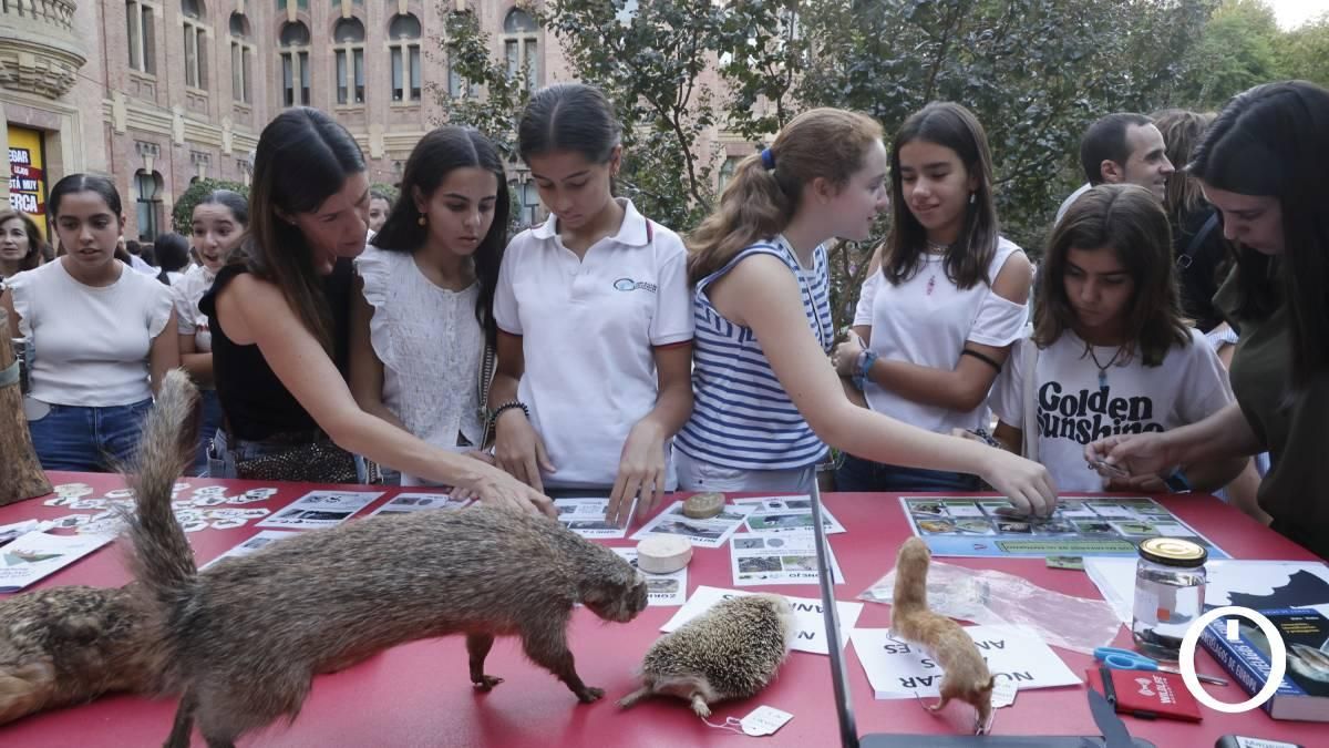 Las mejores imágenes de la Feria de los Ingenios 2025
