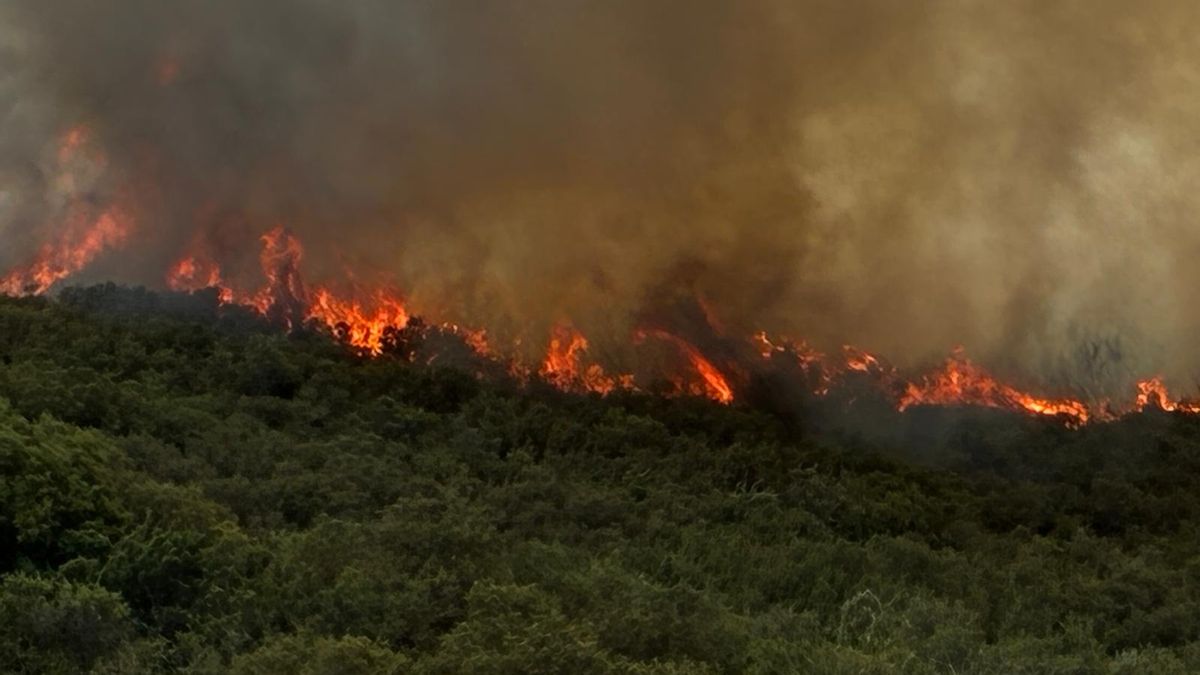 Cortada la AP-68 sentido Zaragoza por un incendio forestal cerca de Marqués de Vargas: medios aéreos y terrestres tratan de sofocarlo