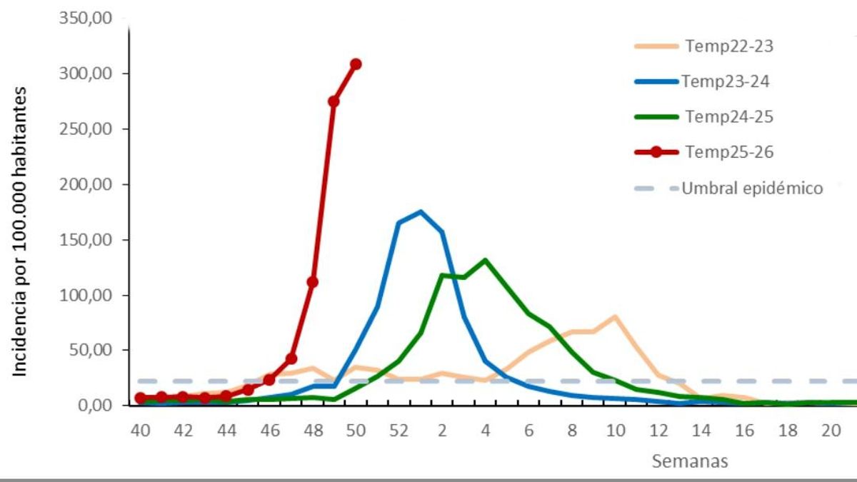 La gripe marca un nuevo pico en Madrid a mediados de diciembre, aunque modera su ascenso