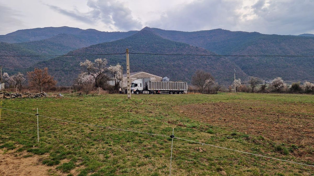 Detectado un segundo foco de dermatosis nodular en Huesca a pocos metros de la primera granja: se sacrificarán 148 vacas