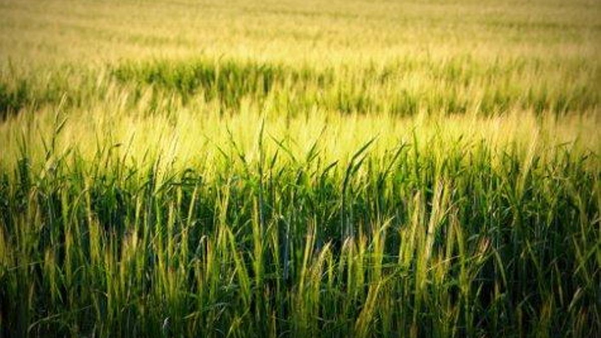 El tiempo en León hoy, 20 de abril: cielos nubosos y posibilidad de lluvias débiles este lunes en la provincia