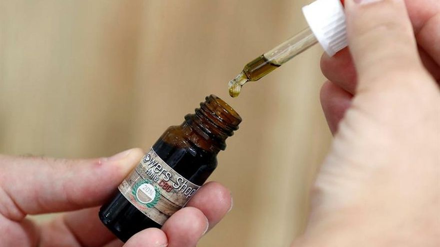 El primer uso con fines medicinales de la marihuana se remonta a hace 4500 años y para el científico checo Lumir Hanus ese tabú, que, dice, surgió cuando en 1937 en Estados Unidos se la consideró una planta "peligrosa", sigue vigente y debe ser derribado.