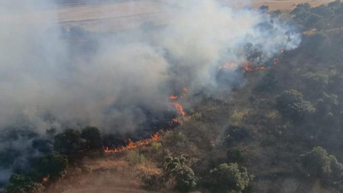 Extinguido el incendio forestal declarado en Peñarroya este jueves