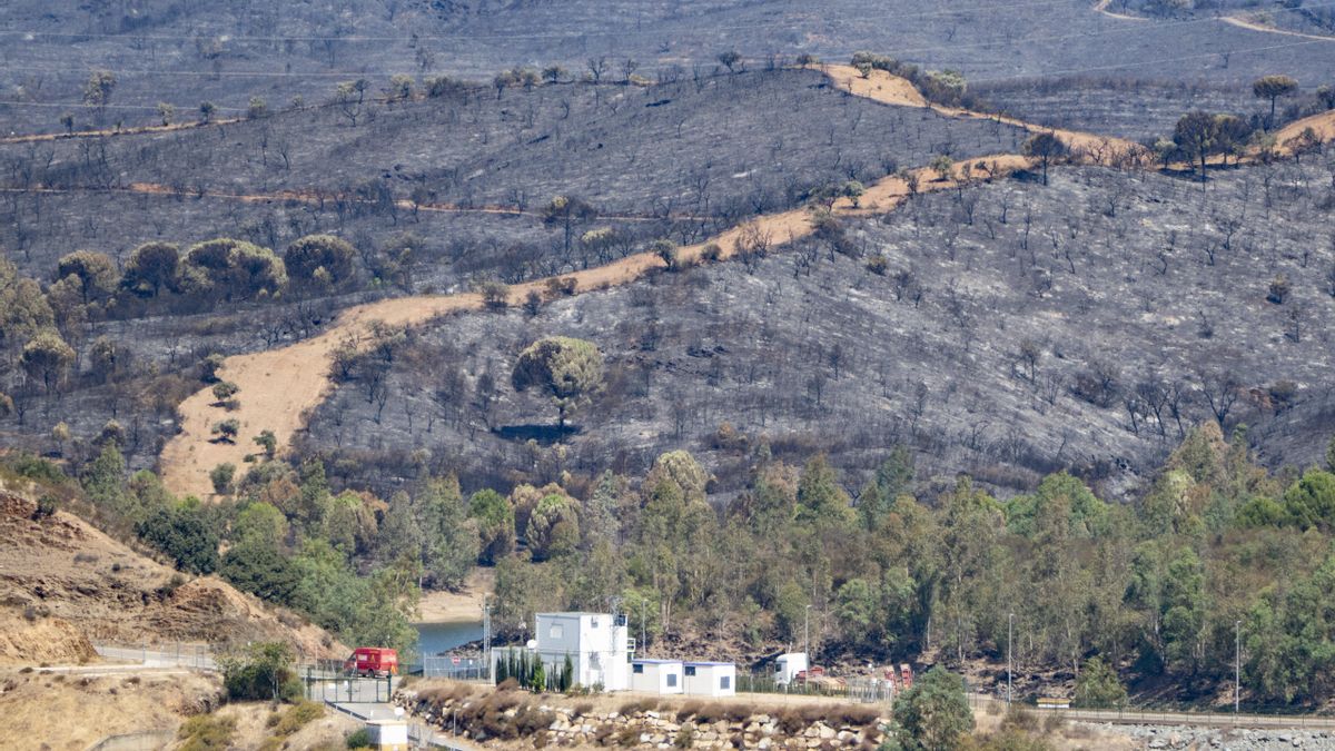 Vista de la tierra quemada por el incendio de Niebla. EFE/ David Arjona