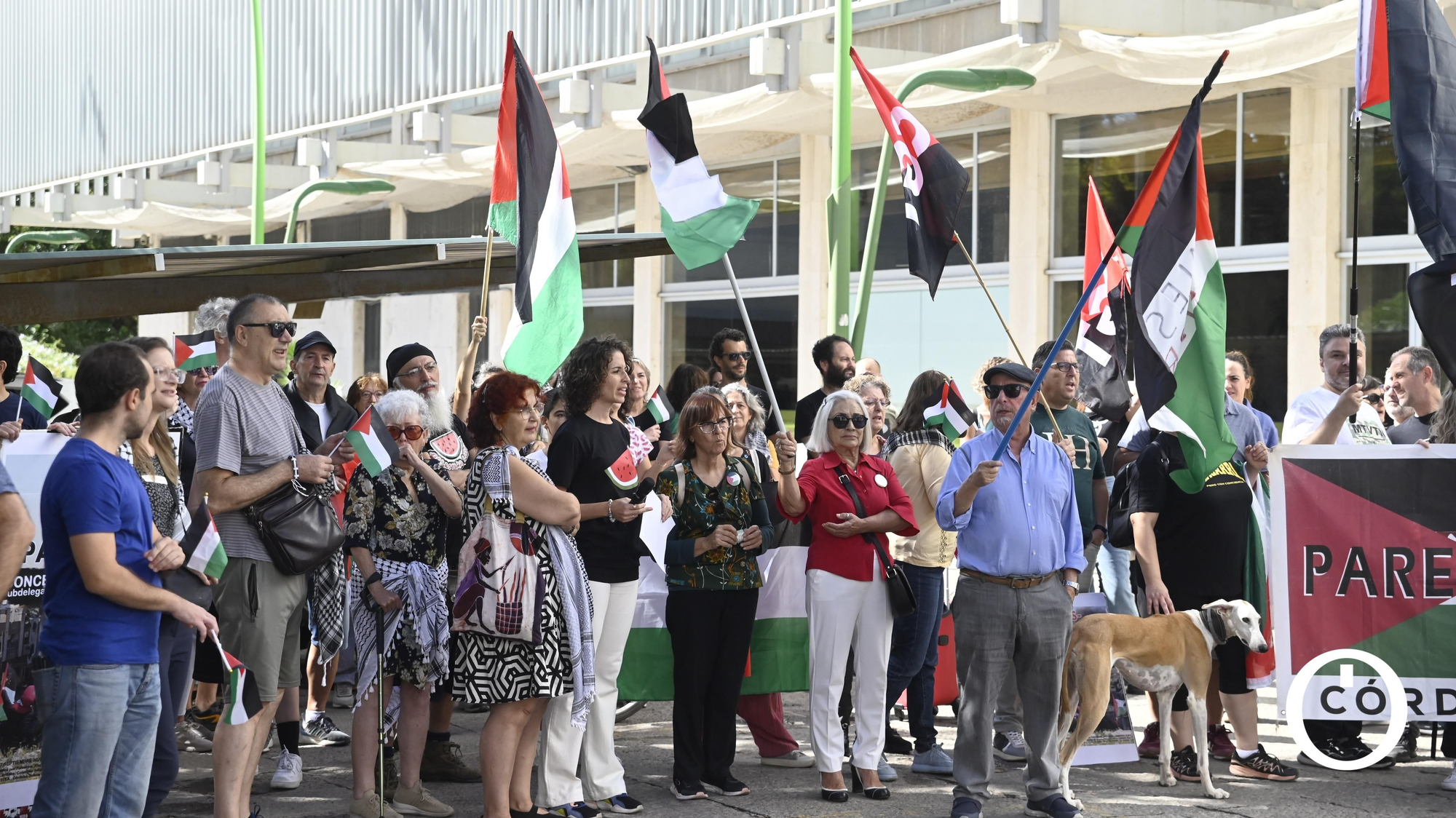 Manifestación por Palestina en la Subdelegación de Gobierno