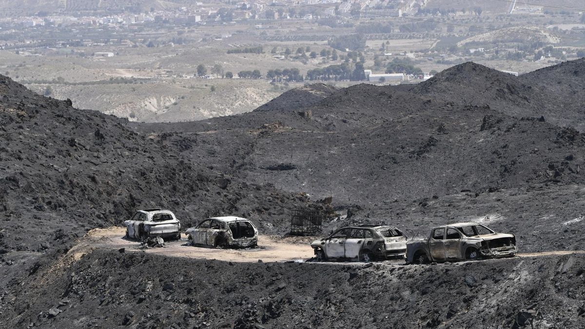 Los incendios y el PIB