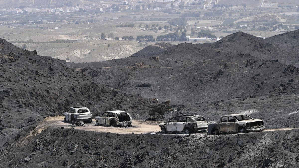 Los incendios y el PIB