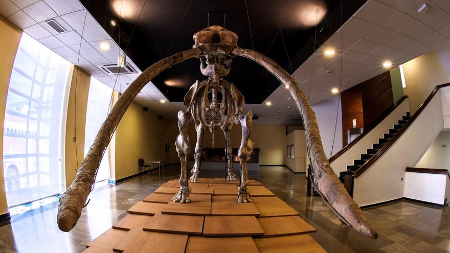 Estas son las actividades que los museos de Castilla-La Mancha han organizado para celebrar su Día Internacional