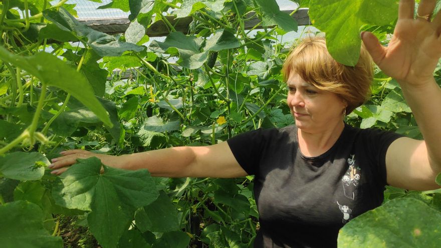 La agricultura, un salvavidas para ucranianos en zonas devastadas por la ocupación rusa