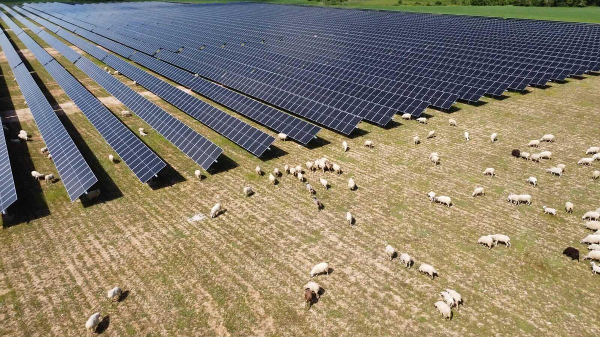 Solaria registra un aumento del 127% en su beneficio neto en el primer trimestre de 2025