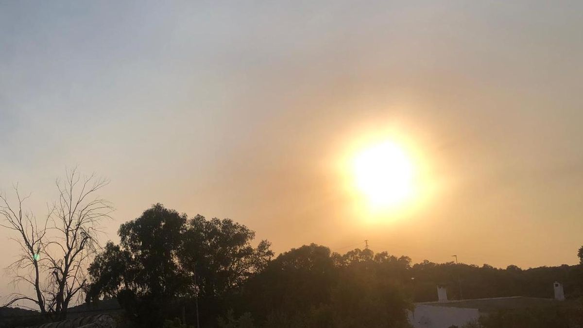 Humo del incendio de Niebla en Cerro Muriano el 8 de agosto.