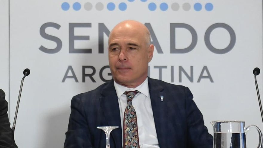 Denuncian al senador de Milei que dijo tener 15 asesores que lo ayudan a que sea gobernador: el planteo le cayó a Lijo