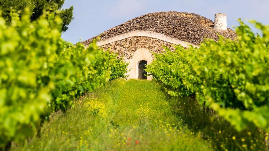 Tres empresas de Castilla-La Mancha, nominadas a uno de los premios más importantes del sector del vino