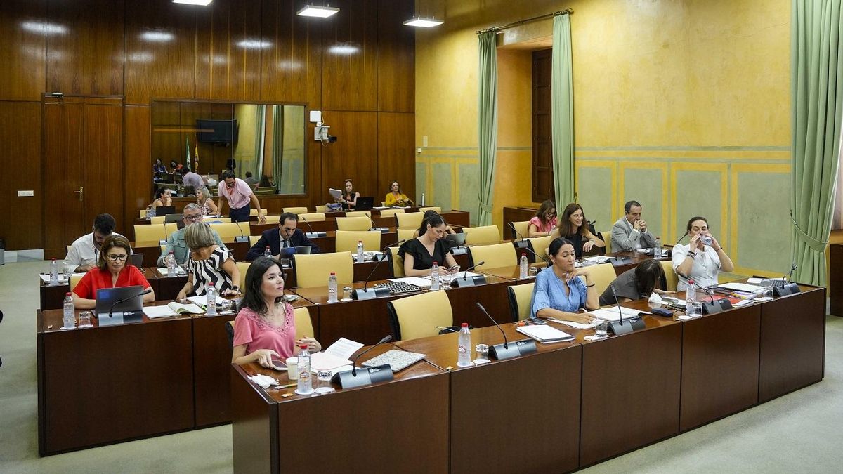 Diputados de la Comisión sobre la Infancia y la Adolescencia en un momento de la sesión de este martes.