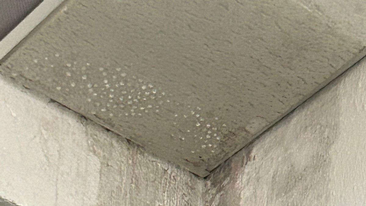 El agua se filtra por paredes y techos de las aulas del centro