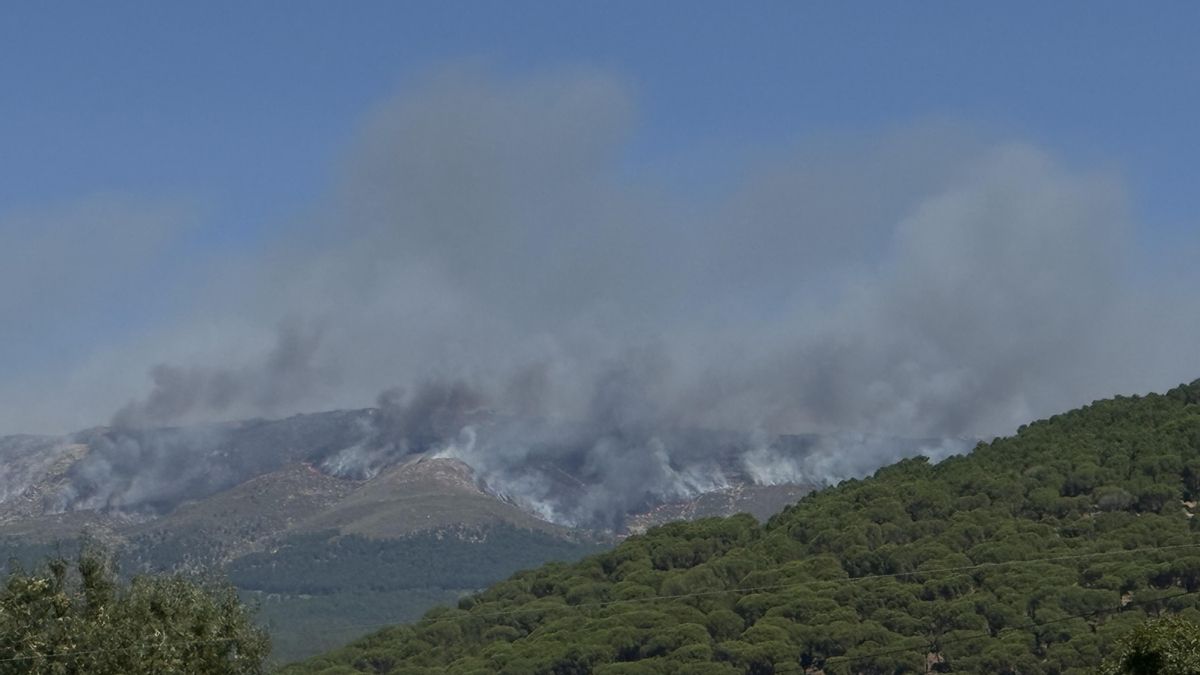El incendio de Ávila arrasa ya unas 11.000 hectáreas mientras mejora durante la noche y no se junta con el fuego de Madrid