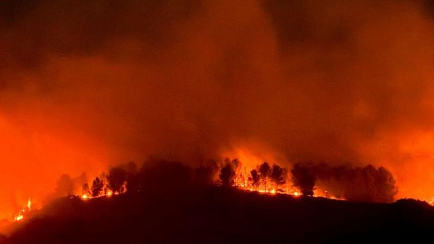 El fuego arrasa en La Rioja casi 124 hectáreas, el 86 por ciento en los incendios de agosto