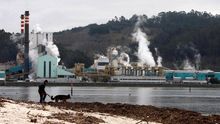 Planta de Ence en Pontevedra.