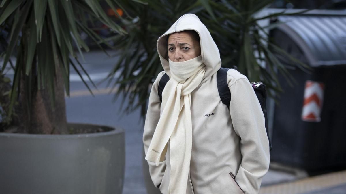 En medio de la ola polar, el Gobierno busca subir las tarifas en las Zonas Frías y ya hay cortes en la industria del NOA