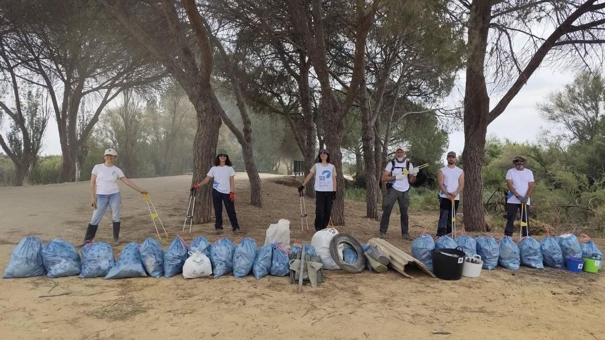 Diez años limpiando el camino del Rocío: "Una joya de la naturaleza como Doñana no puede tener una montaña de basura"