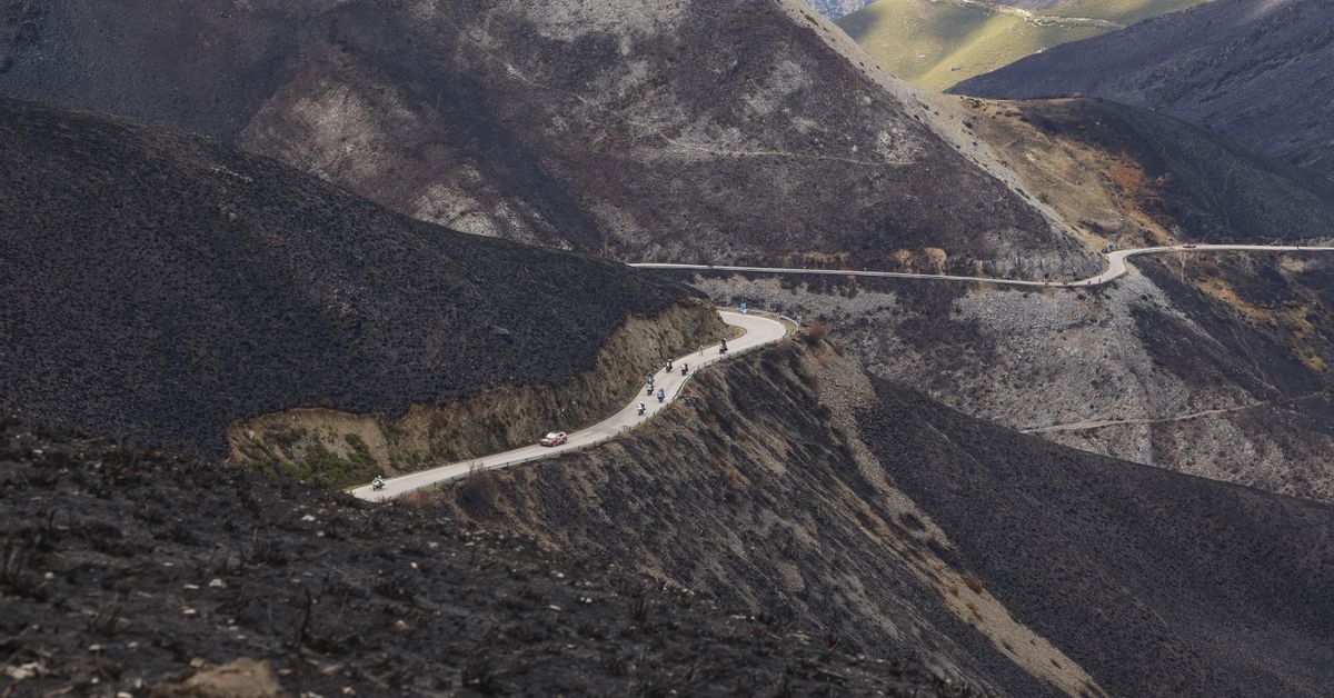 Pilar Castro, experta en recuperación de espacios naturales: “Cuando una comunidad pierde un bosque lo pierde todo”