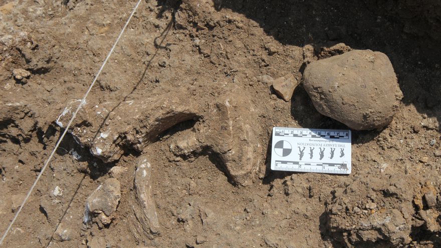 Un descubrimiento arqueológico en Kenia obliga a replantear los orígenes de la tecnología humana